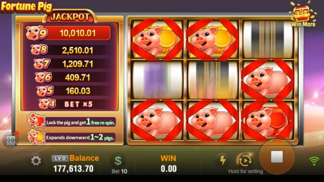 Game Screenshot 5
